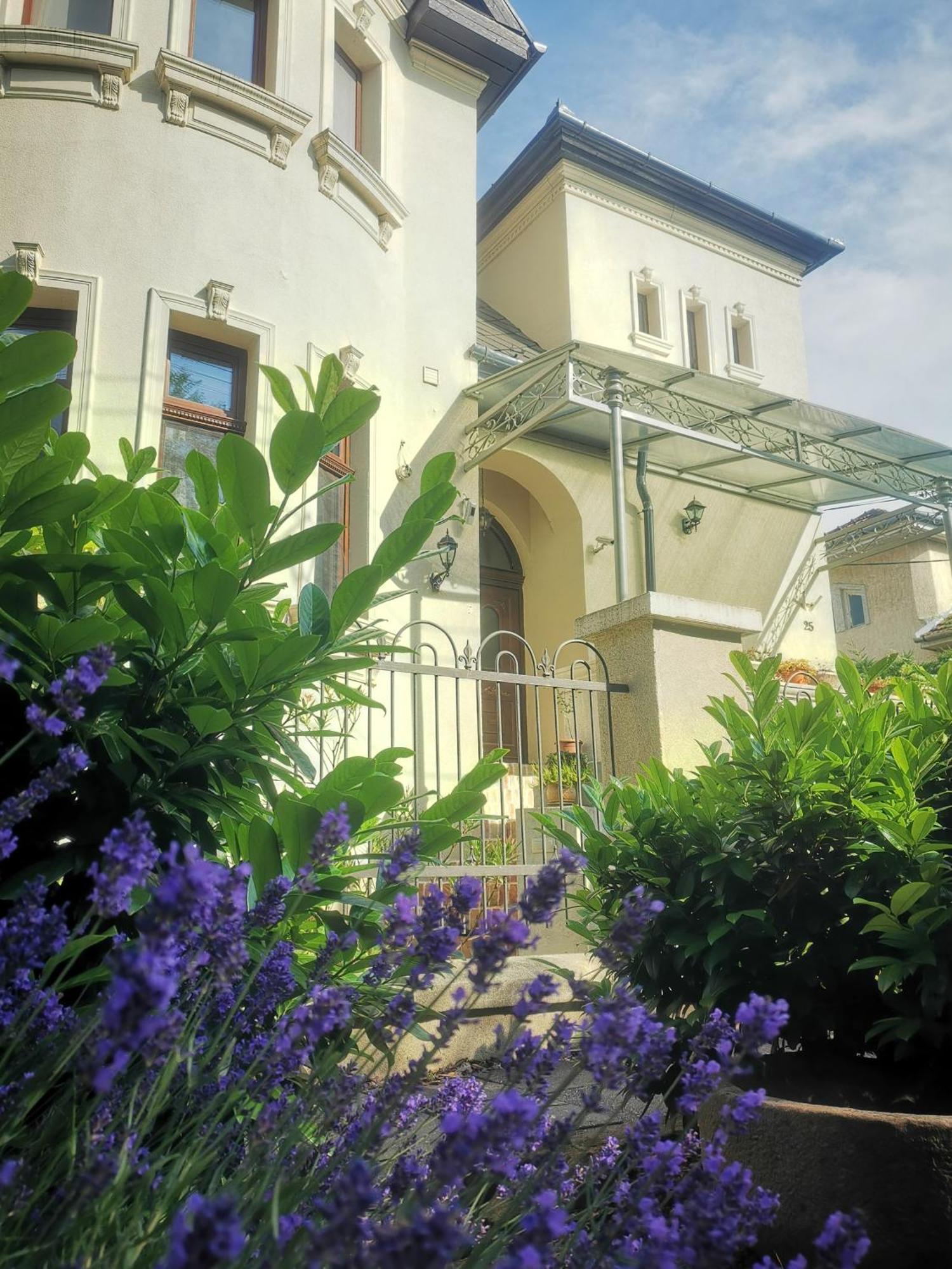Kuria Apartman Budapest With Free Parking Ngoại thất bức ảnh