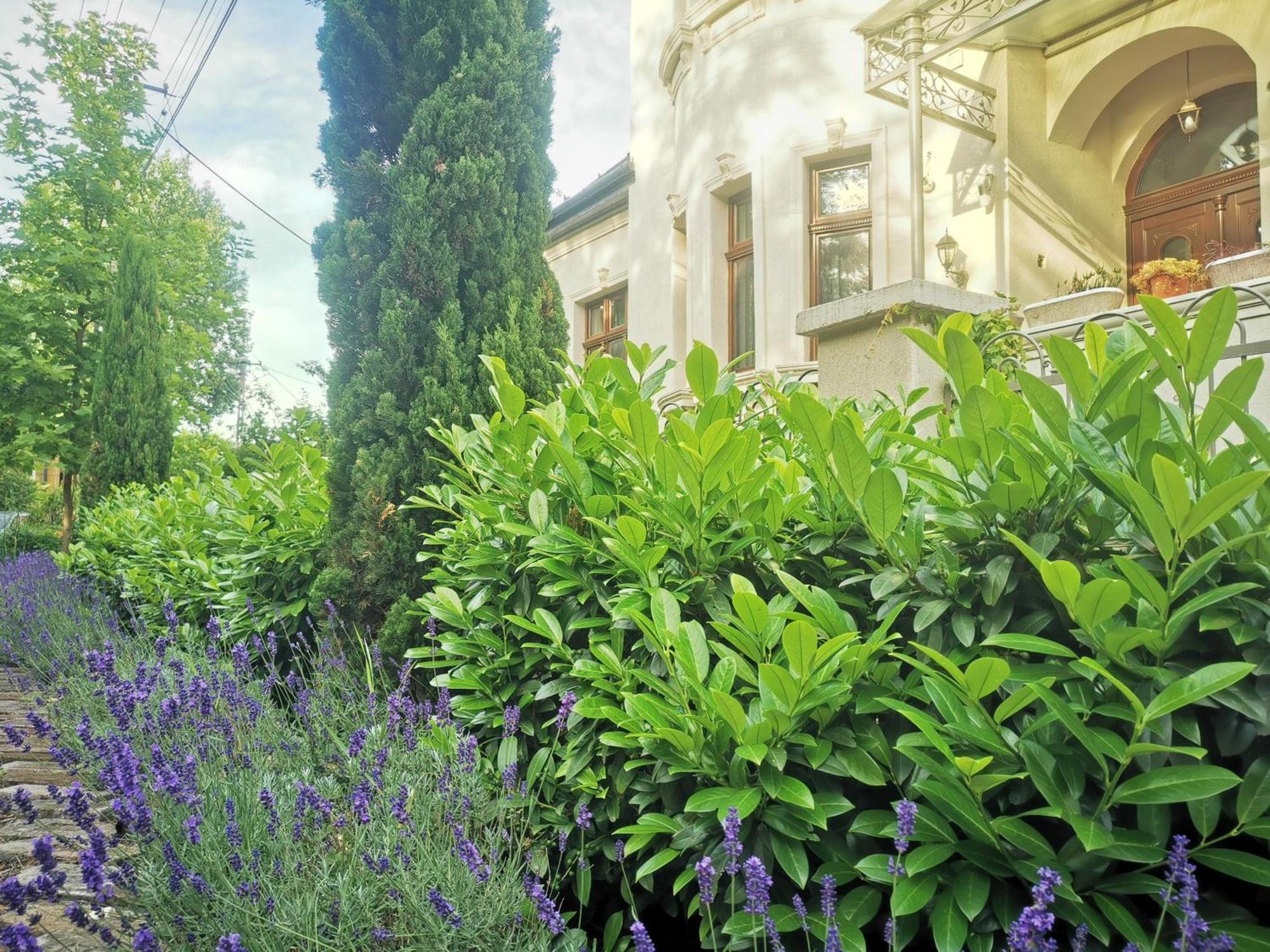 Kuria Apartman Budapest With Free Parking Ngoại thất bức ảnh